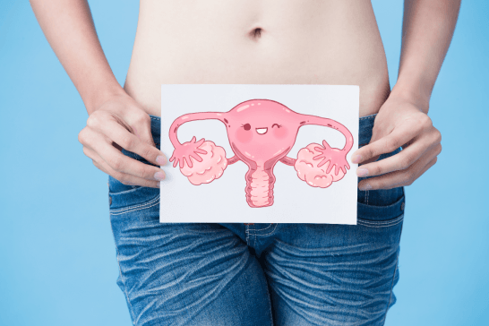 Endometrio: Qué es, funciones y enfermedades